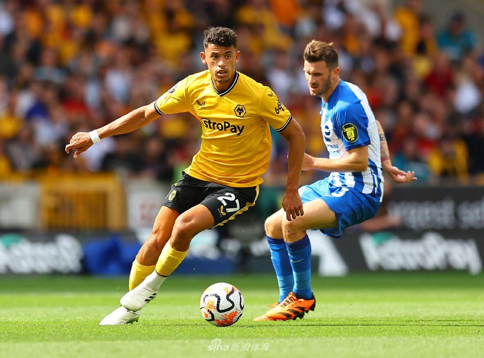 这篇文章将 这篇文章将